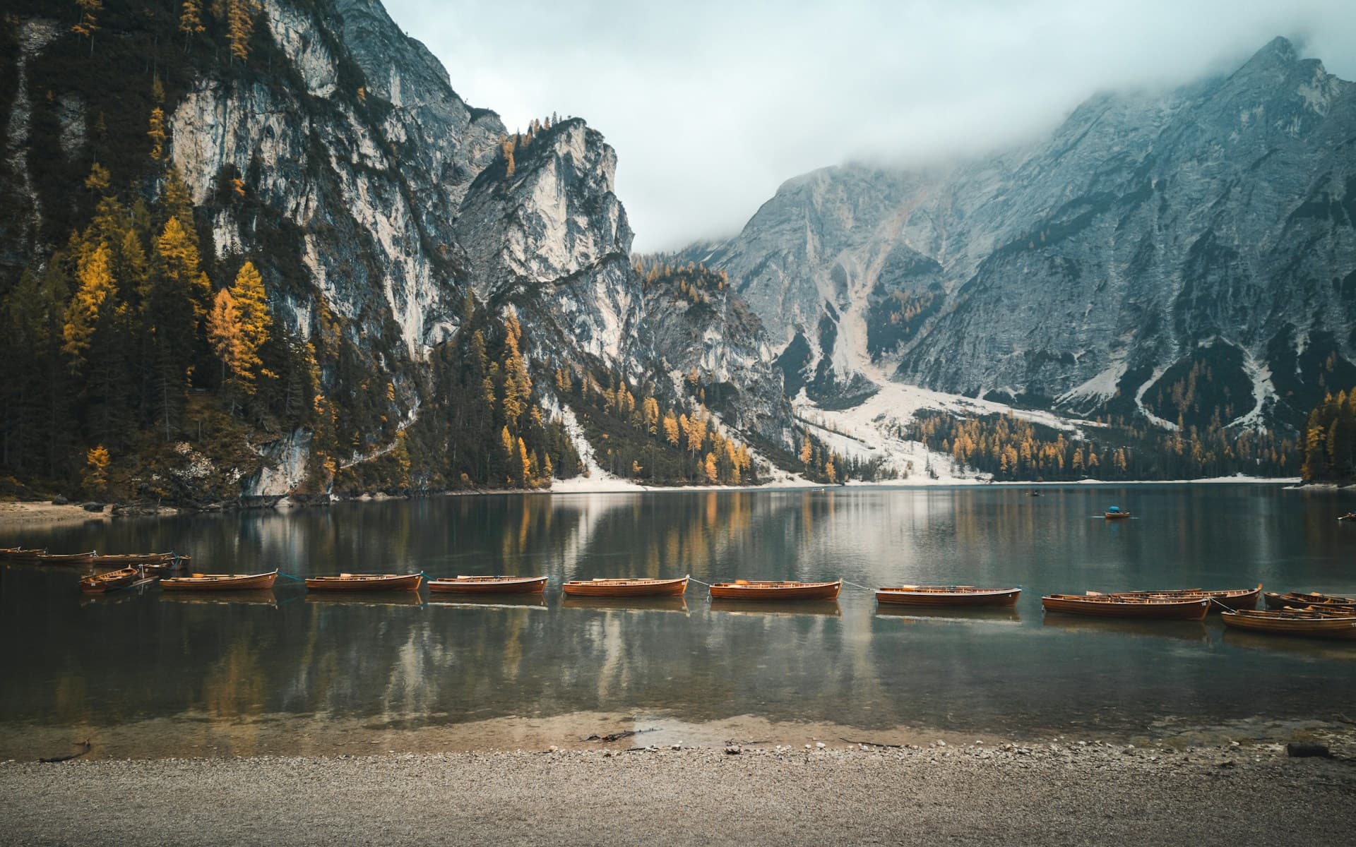 Repeat the Code, Not the Information